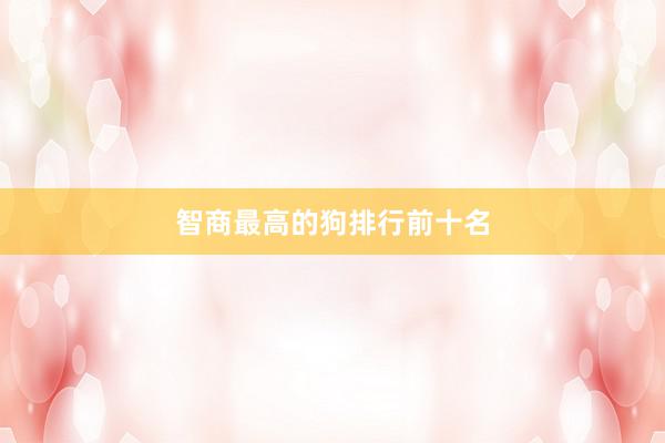 智商最高的狗排行前十名