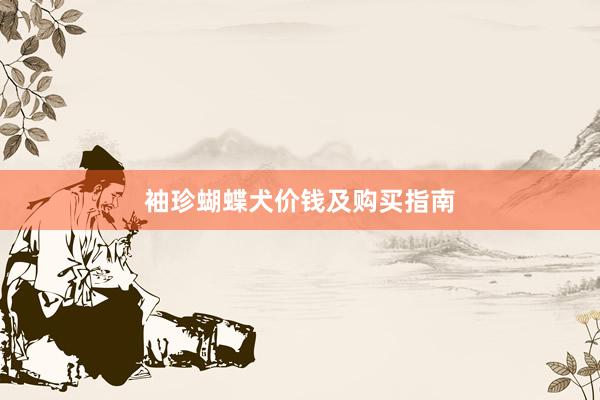 袖珍蝴蝶犬价钱及购买指南